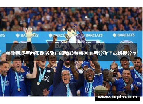 莱斯特城与西布朗激战正酣精彩赛事回顾与分析下载链接分享