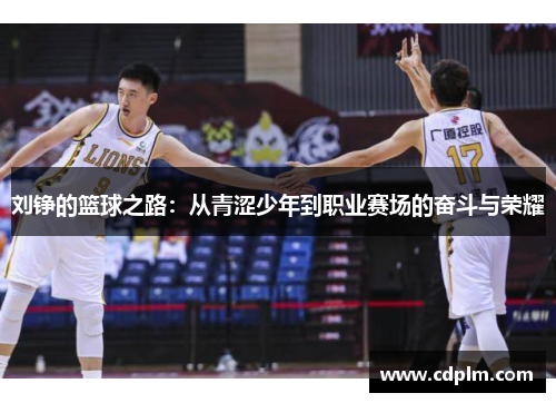 刘铮的篮球之路：从青涩少年到职业赛场的奋斗与荣耀
