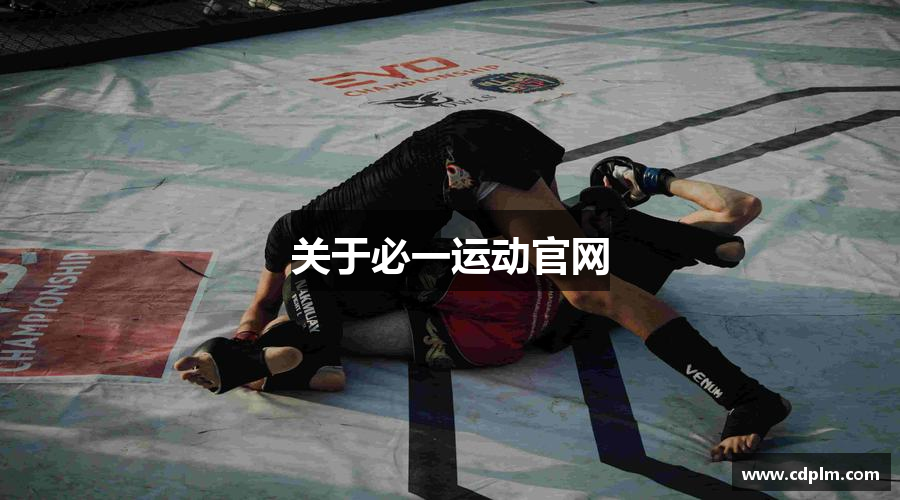关于必一运动官网